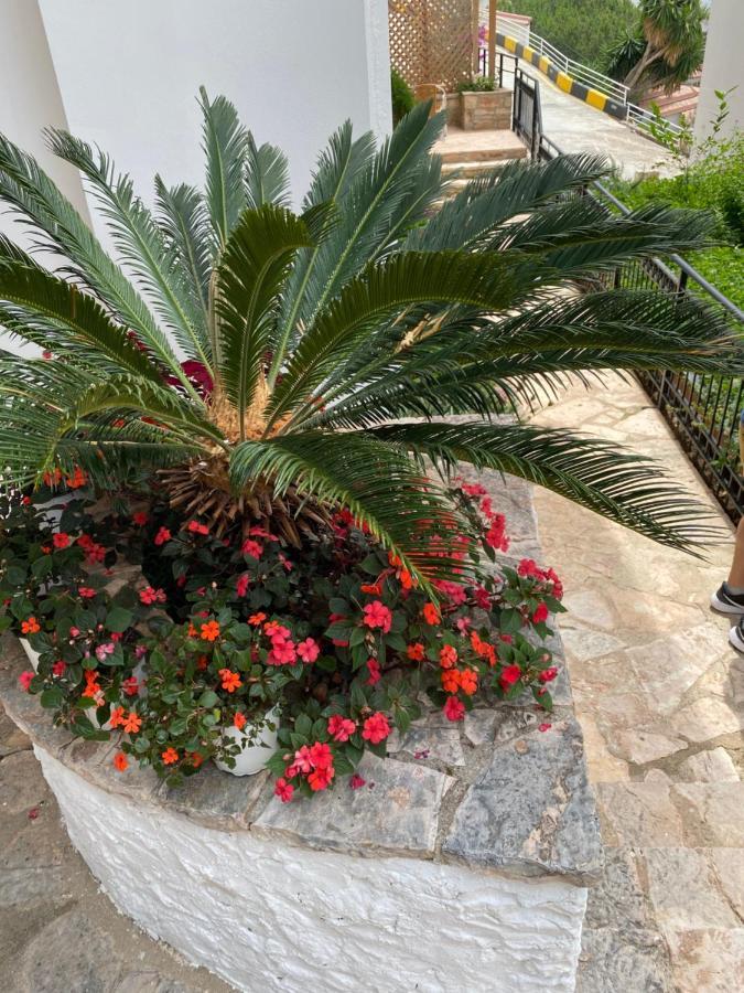 Apartamente Berti'S Garden Sarandë Exterior foto